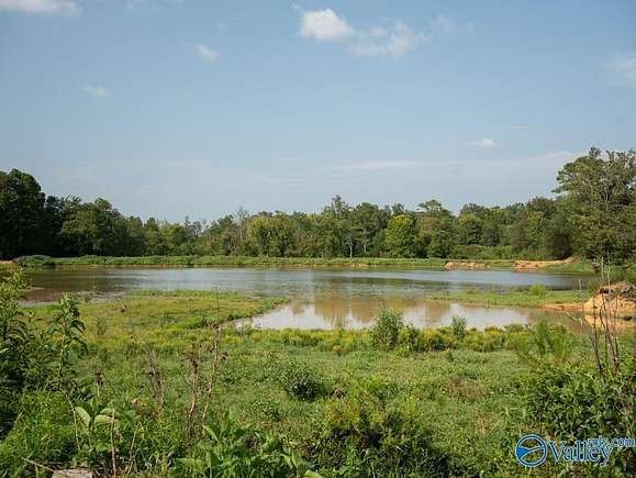 551 Acres of Land with Home for Sale in Collinsville, Alabama