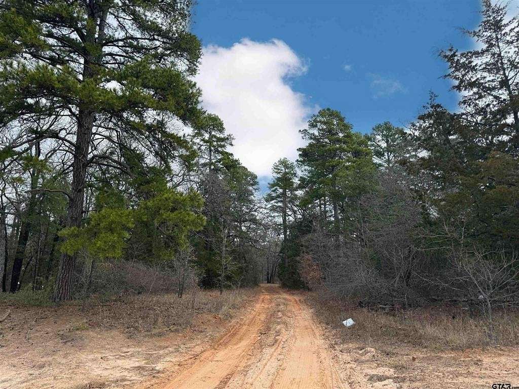 0.253 Acres of Residential Land for Sale in Scroggins, Texas