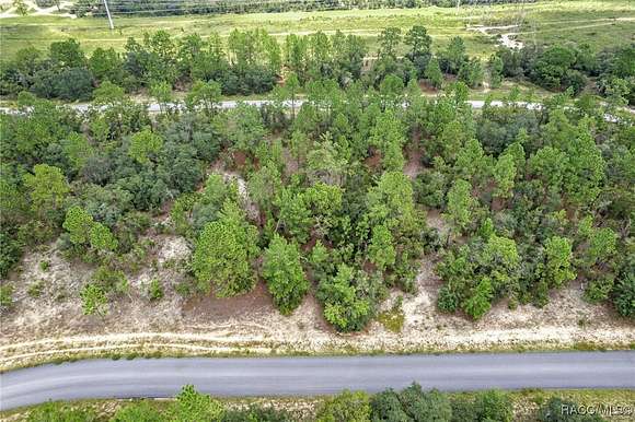 0.23 Acres of Residential Land for Sale in Dunnellon, Florida