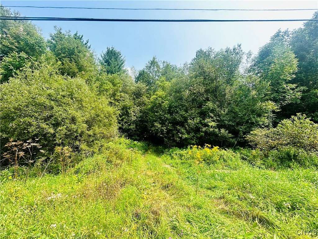 3.24 Acres of Residential Land with Home for Sale in Diana Town, New York