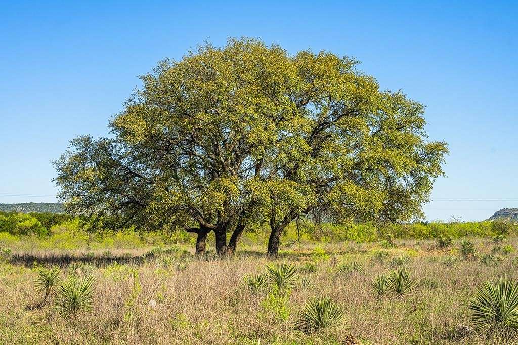 39.6 Acres of Recreational Land & Farm for Sale in London, Texas