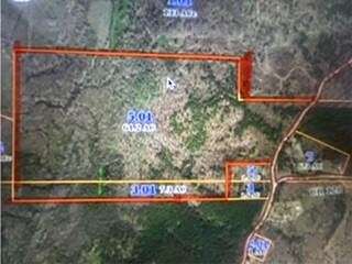 71.5 Acres of Land for Sale in Walnut, Mississippi