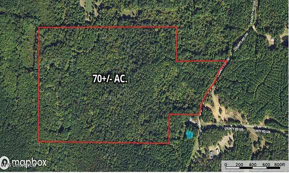 71.5 Acres of Land for Sale in Walnut, Mississippi