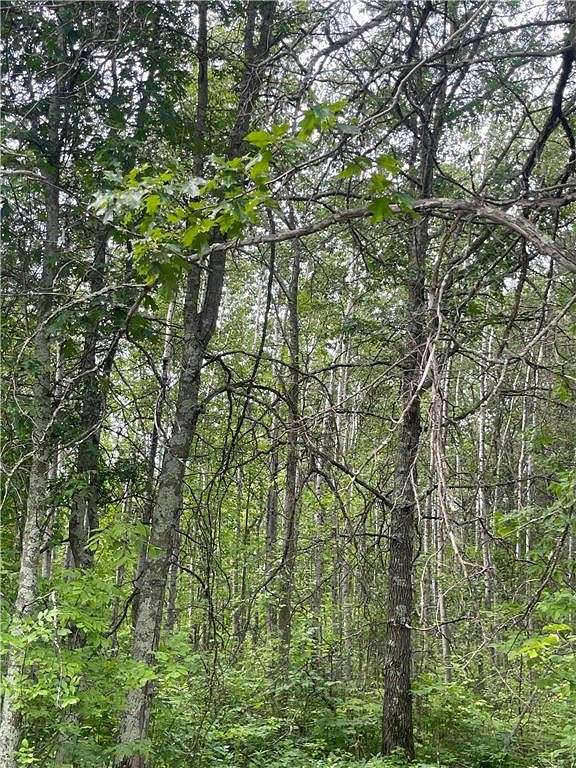 0.99 Acres of Land for Sale in Pequot Lakes, Minnesota