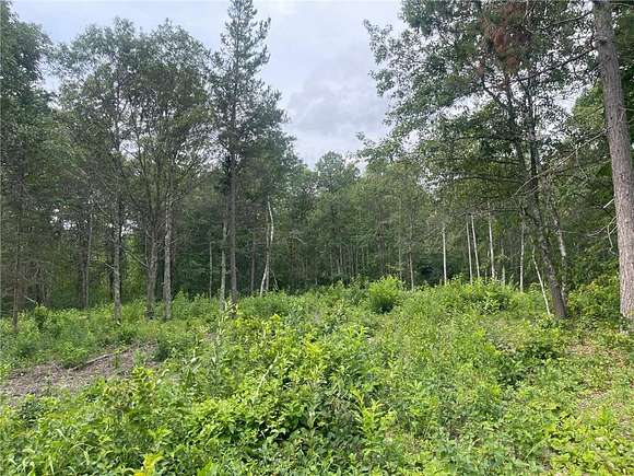 0.99 Acres of Land for Sale in Pequot Lakes, Minnesota