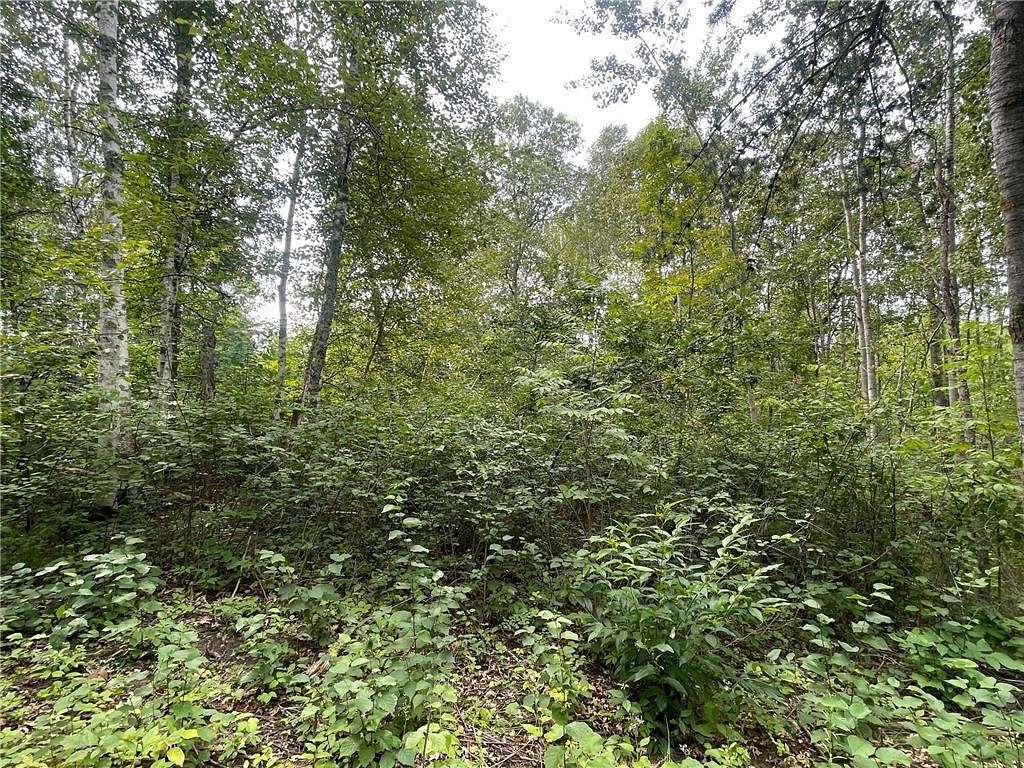 0.99 Acres of Land for Sale in Pequot Lakes, Minnesota