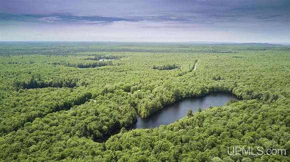 440 Acres of Recreational Land for Sale in Shingleton, Michigan