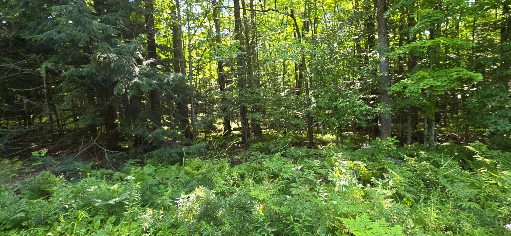 1 Acre of Residential Land for Sale in Rhinelander, Wisconsin