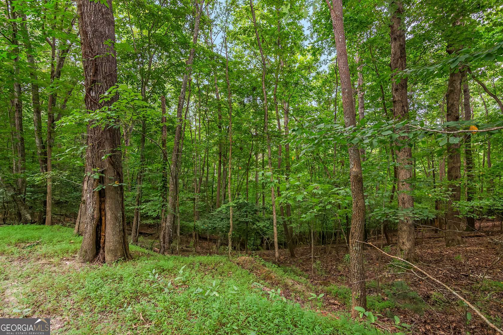 0.51 Acres of Residential Land for Sale in Ellijay, Georgia