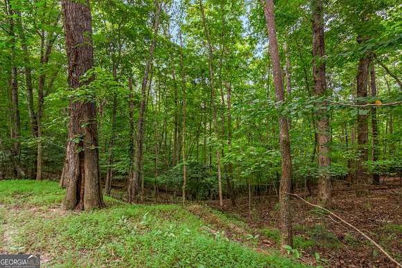 0.51 Acres of Residential Land for Sale in Ellijay, Georgia