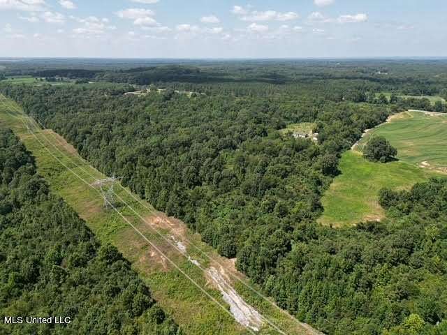 30 Acres of Recreational Land for Sale in Ashland, Mississippi