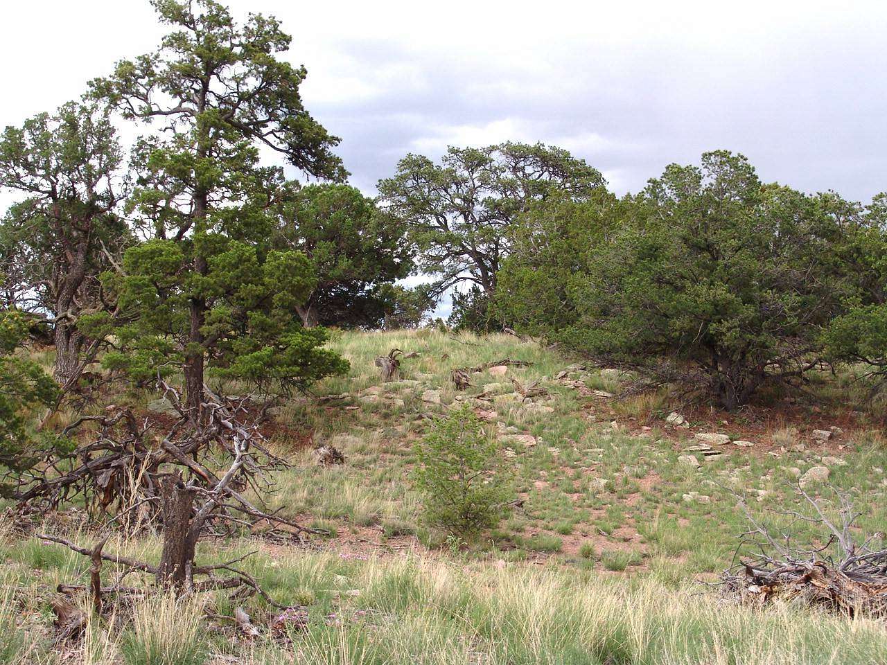 1 Acre of Residential Land for Sale in Datil, New Mexico