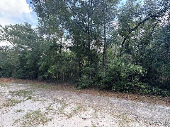 0.28 Acres of Land for Sale in Crystal River, Florida