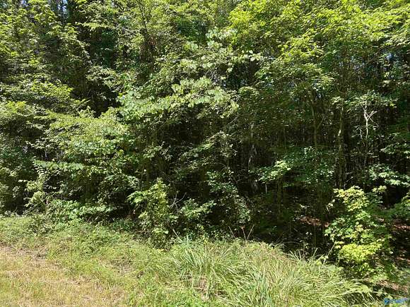 23 Acres of Recreational Land for Sale in Hokes Bluff, Alabama