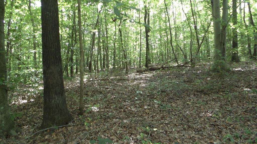 75.54 Acres of Recreational Land & Farm for Sale in Moss, Tennessee