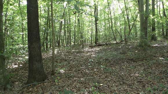 75.54 Acres of Recreational Land & Farm for Sale in Moss, Tennessee