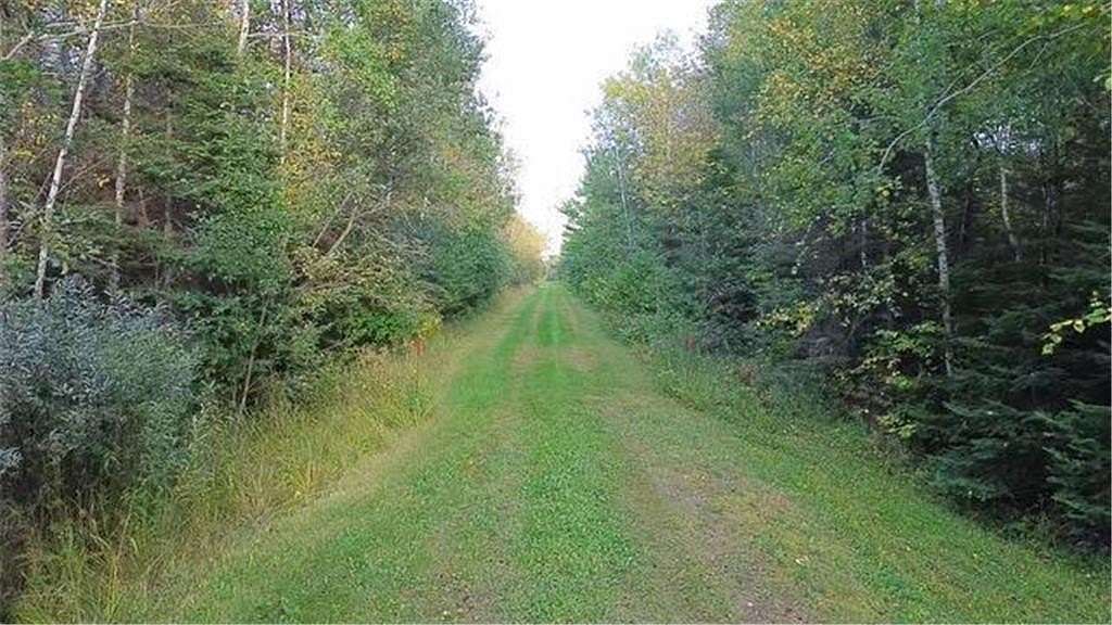 20 Acres of Land for Sale in Duluth, Minnesota