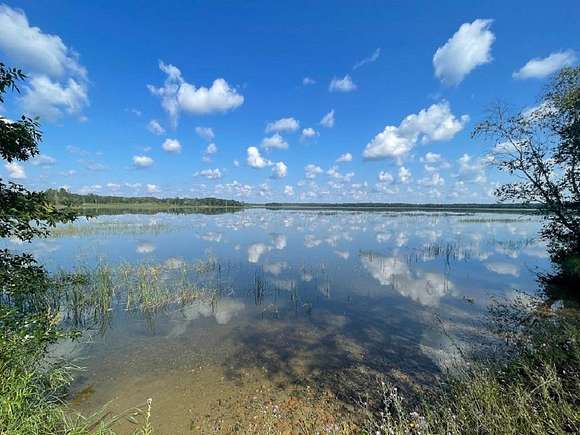 1.98 Acres of Land for Sale in Ponsford, Minnesota