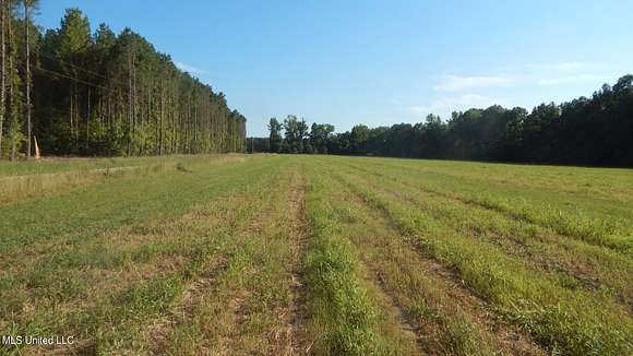 3 Acres of Land for Sale in Bruce, Mississippi