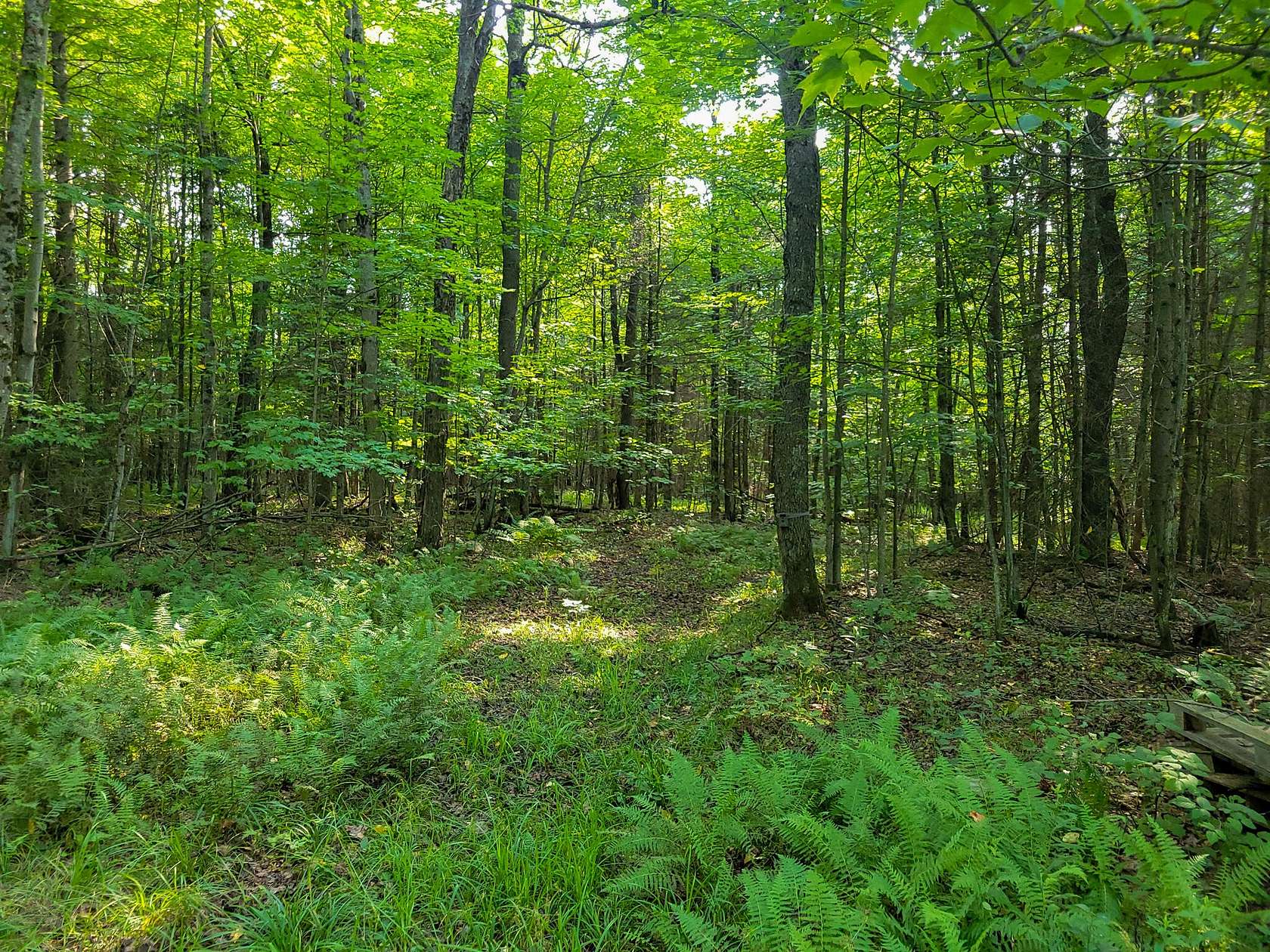 56.7 Acres of Recreational Land for Sale in North Bangor, New York