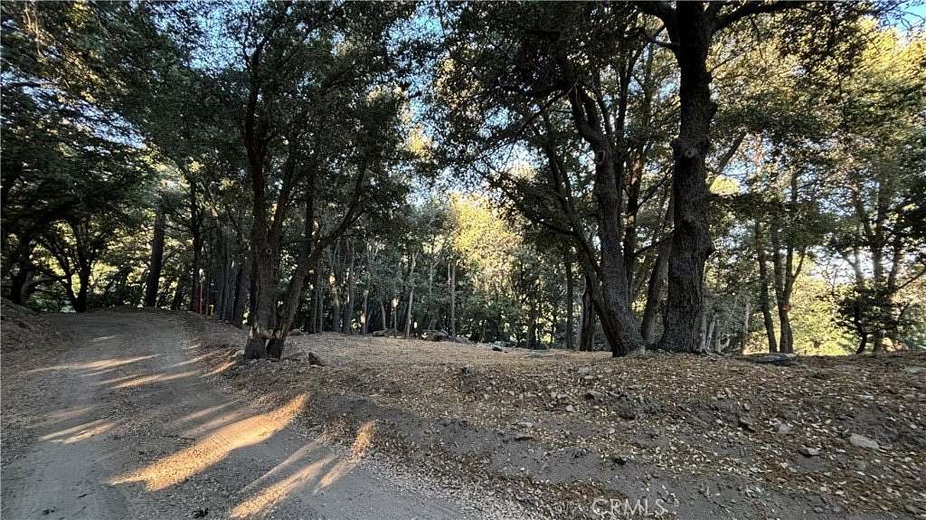 0.279 Acres of Land for Sale in Cedarpines Park, California