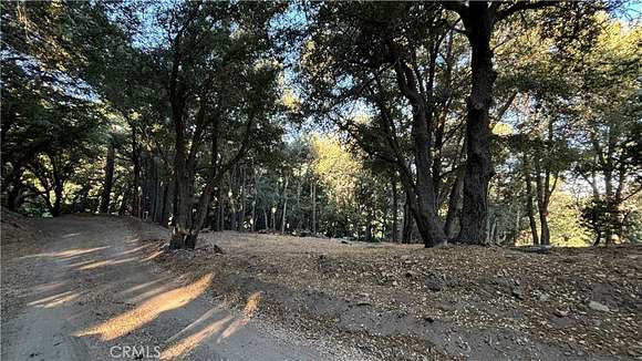 0.279 Acres of Land for Sale in Cedarpines Park, California