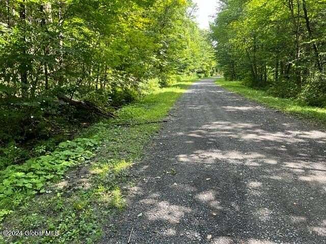 17.17 Acres of Recreational Land for Sale in Pitcher, New York