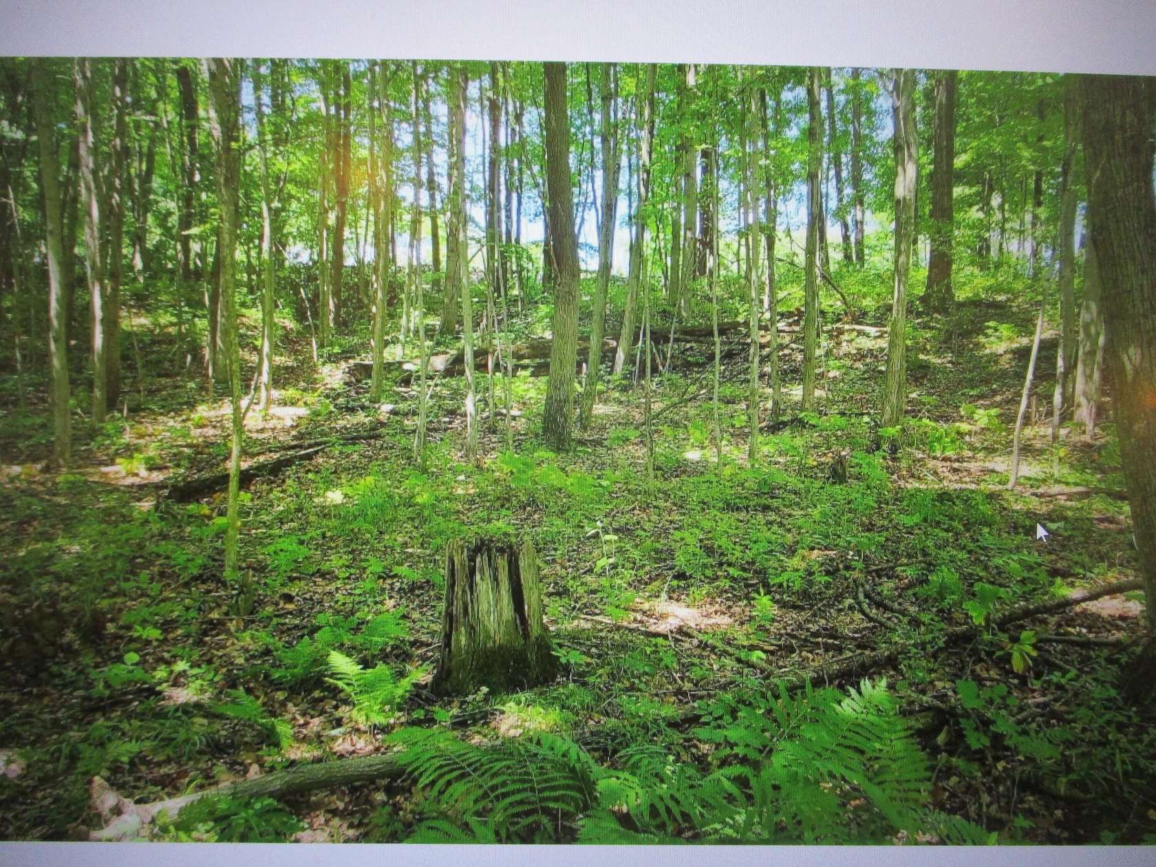2.37 Acres of Land for Sale in Gowen, Michigan
