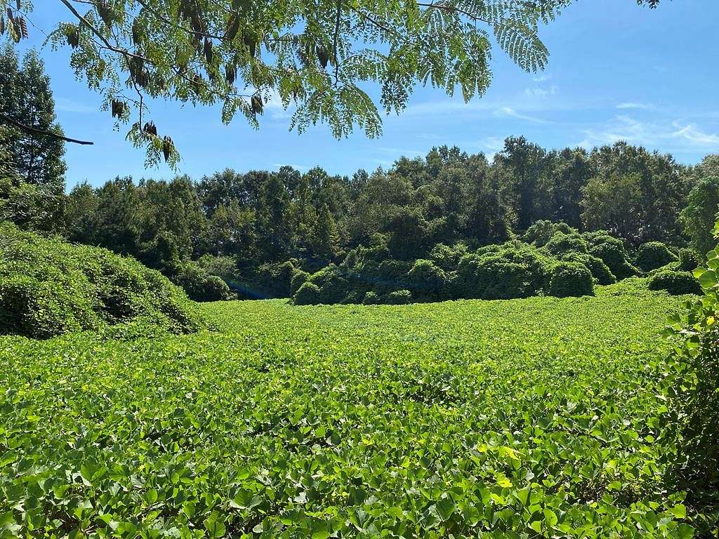 12.752 Acres of Land for Sale in Dothan, Alabama