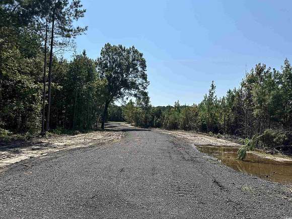 56.09 Acres of Recreational Land for Sale in Andrews, South Carolina