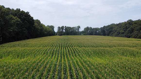 40 Acres of Recreational Land & Farm for Sale in Rinard, Illinois