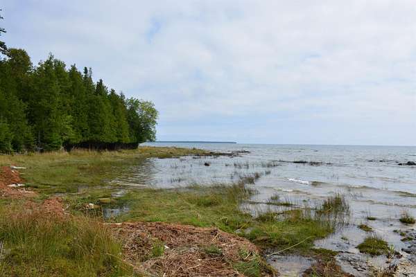 20 Acres of Recreational Land for Sale in Garden, Michigan