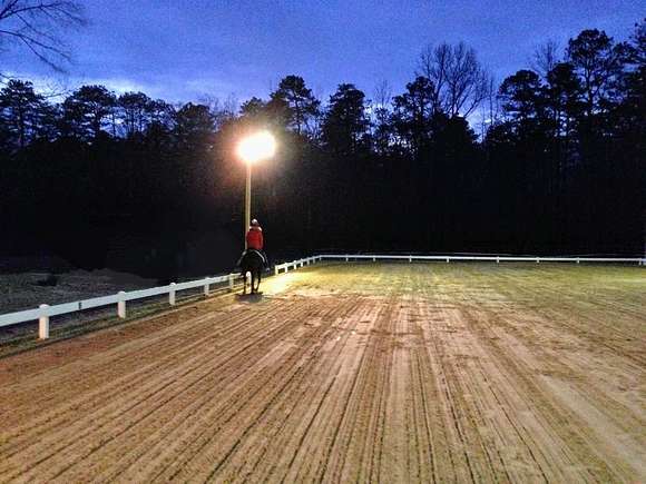 Lighted dressage arena.