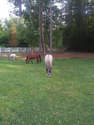 View from front porch