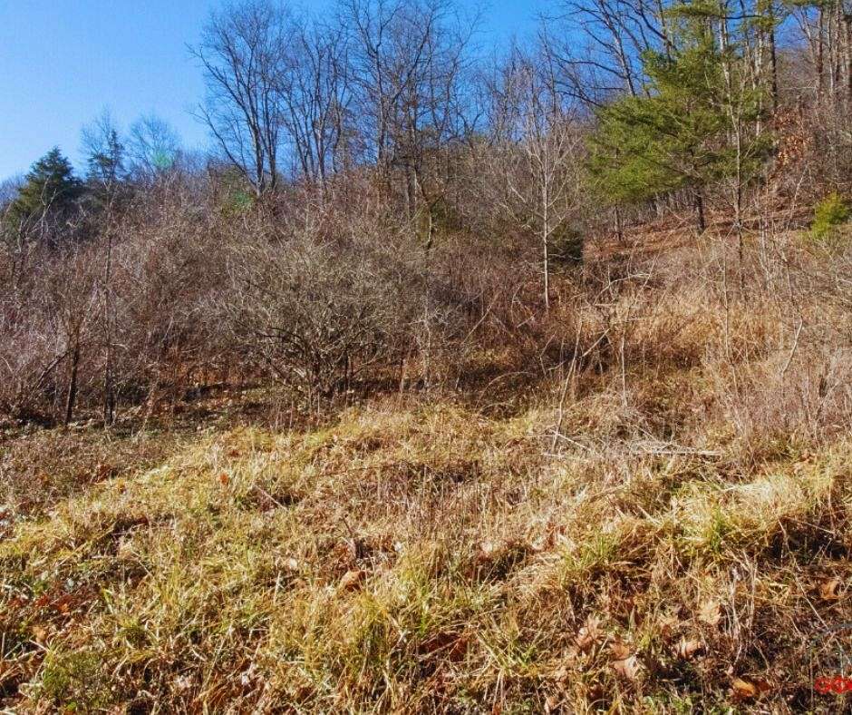 1 Acre of Residential Land for Sale in Berkeley Springs, West Virginia