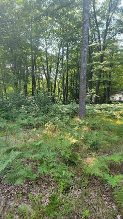 0.22 Acres of Land for Sale in Prudenville, Michigan