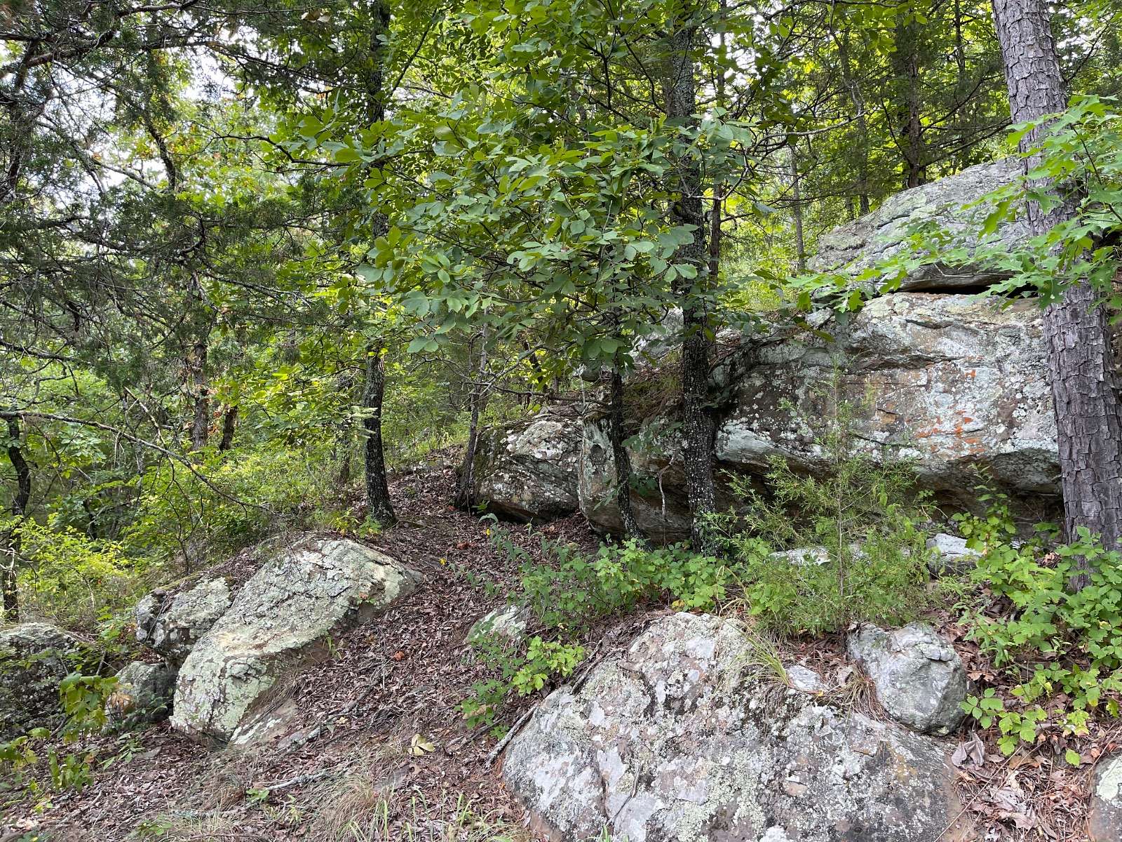 240 Acres of Recreational Land & Farm for Sale in Daisy, Oklahoma