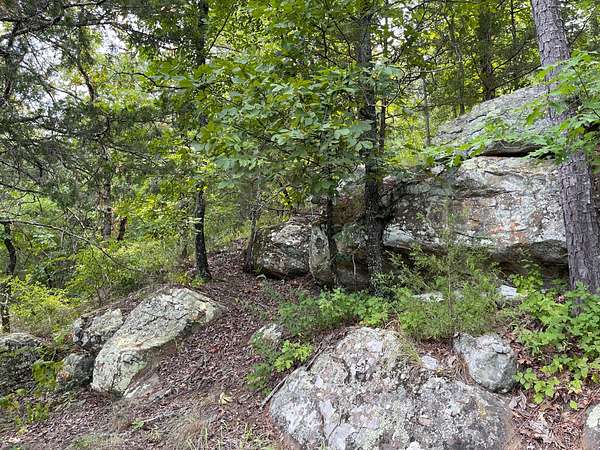 240 Acres of Recreational Land & Farm for Sale in Daisy, Oklahoma