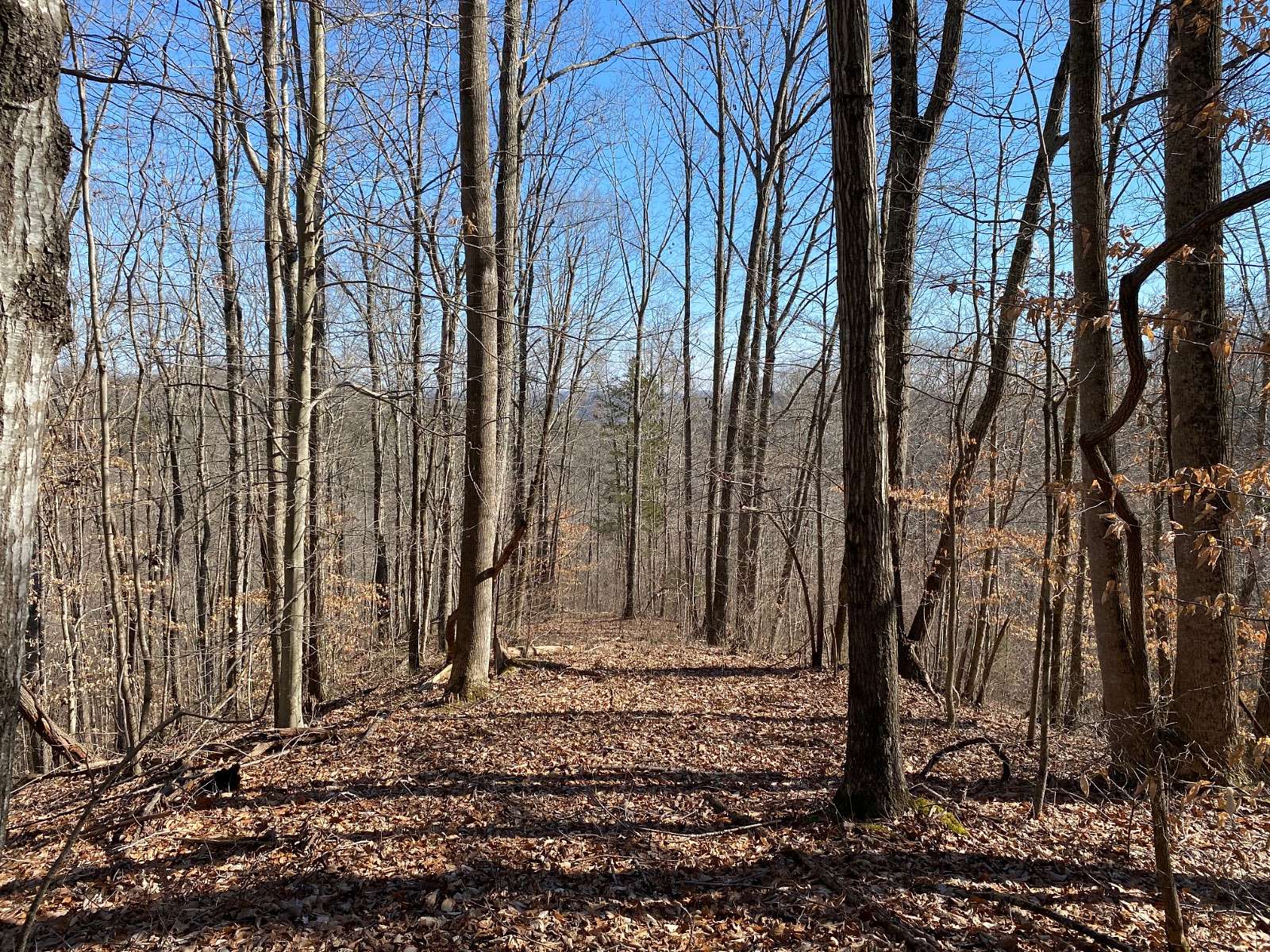 10.7 Acres of Land for Sale in Jamestown, Kentucky