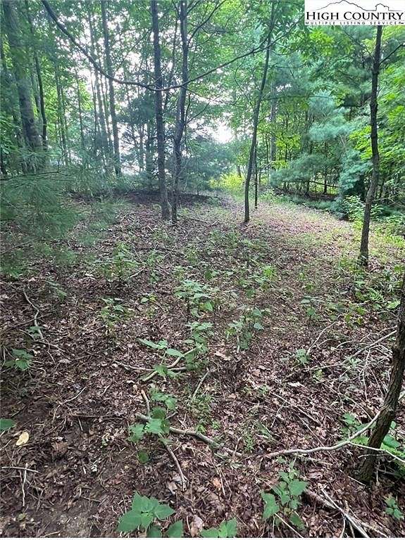 1.17 Acres of Residential Land for Sale in Deep Gap, North Carolina