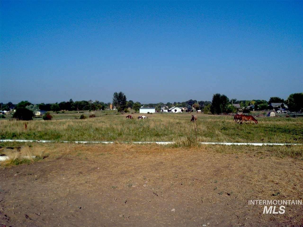 6 Acres of Residential Land with Home for Sale in Nampa, Idaho