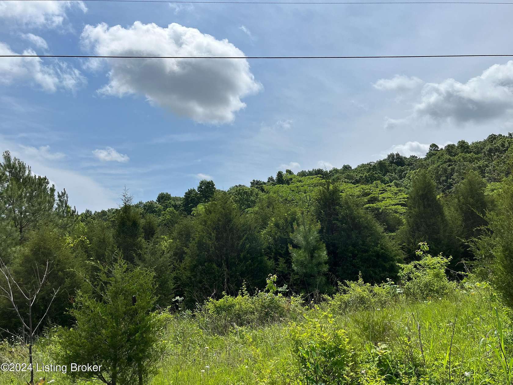 6.23 Acres of Residential Land for Sale in Big Clifty, Kentucky