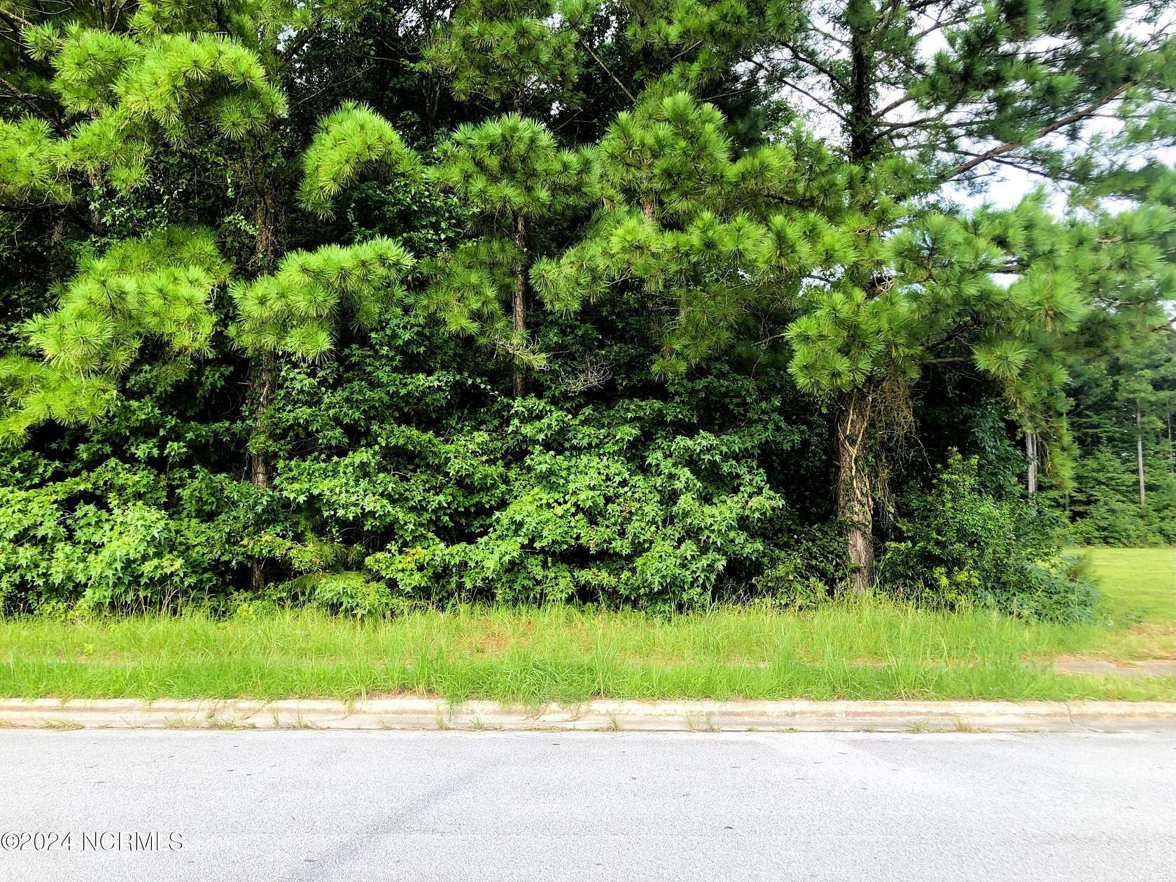 0.8 Acres of Commercial Land for Sale in Jacksonville, North Carolina