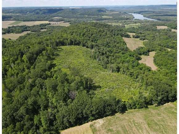 151.7 Acres of Recreational Land & Farm for Sale in Pepin, Wisconsin