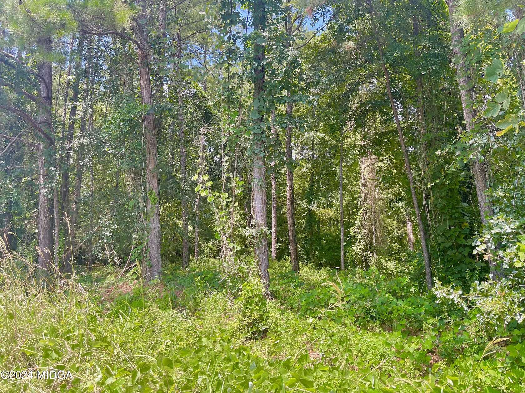 0.52 Acres of Residential Land for Sale in Macon, Georgia