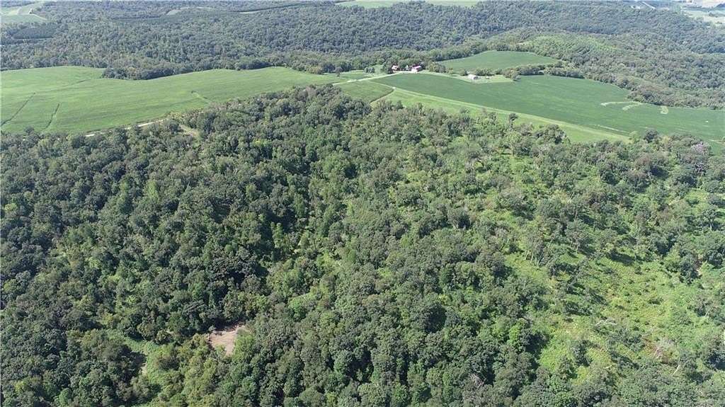 40 Acres of Recreational Land & Farm for Sale in Alma, Wisconsin