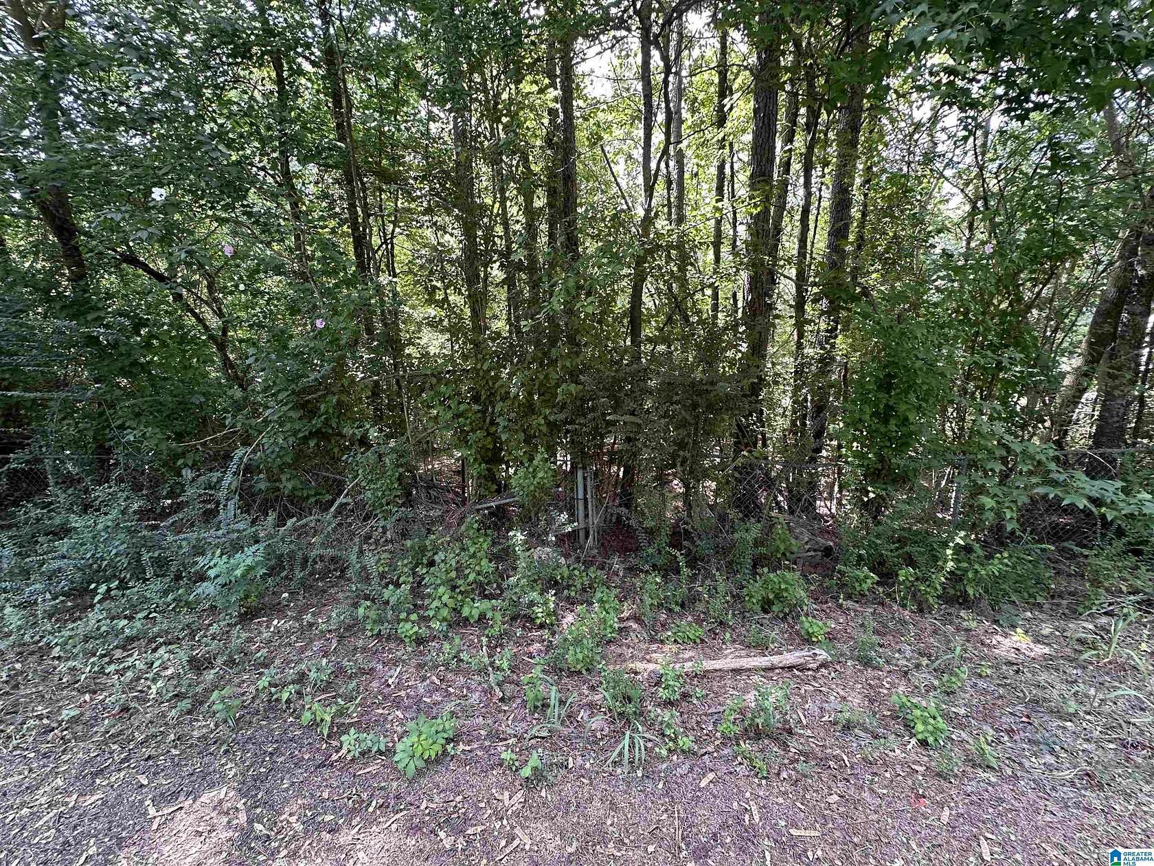 2.09 Acres of Residential Land for Sale in Bessemer, Alabama