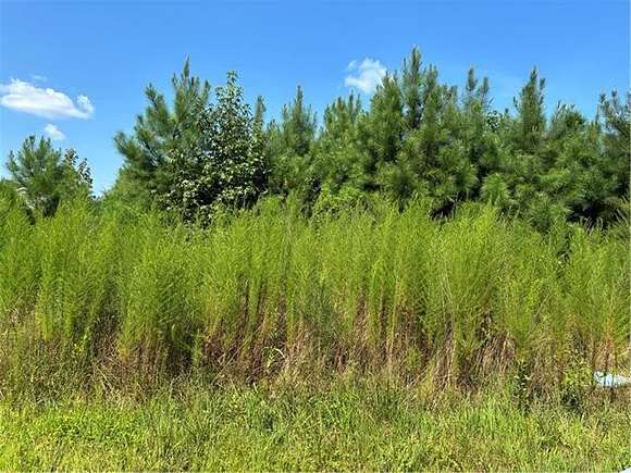 0.57 Acres of Residential Land for Sale in West Point, Virginia