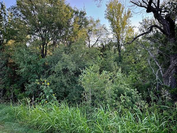 120 Acres of Recreational & Residential Land for Sale in Cleburne, Texas