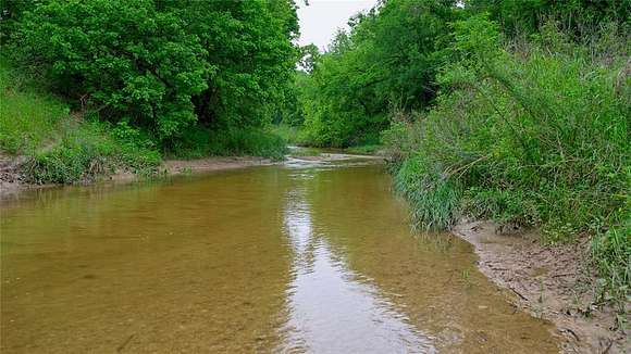 51.6 Acres of Recreational Land for Sale in Forestburg, Texas